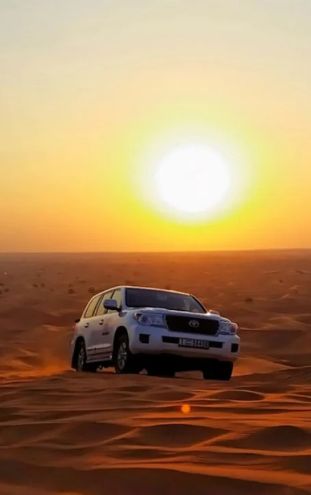 evening desert safari