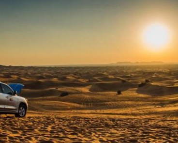 Morning Desert Safari
