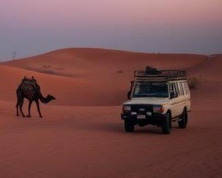 Evening Desert Safari